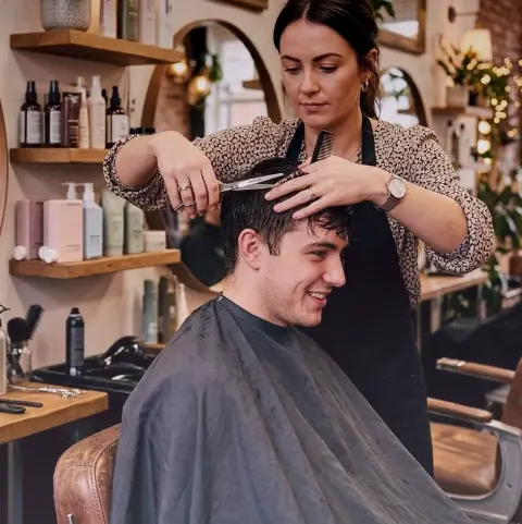 Mirabellen Rebhuhn – Friseurschnitt